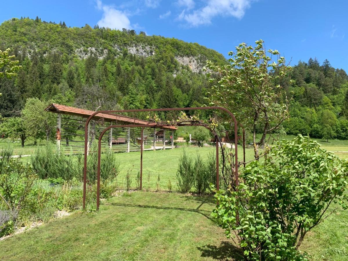 Villa Entire House Iris & Arnika à Bled Extérieur photo